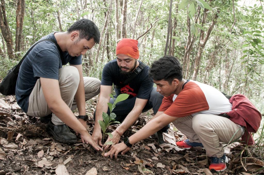 Jaga Habitat Monyet Tonkean, IMIP dan Volunteer Tanam Ratusan Pohon
