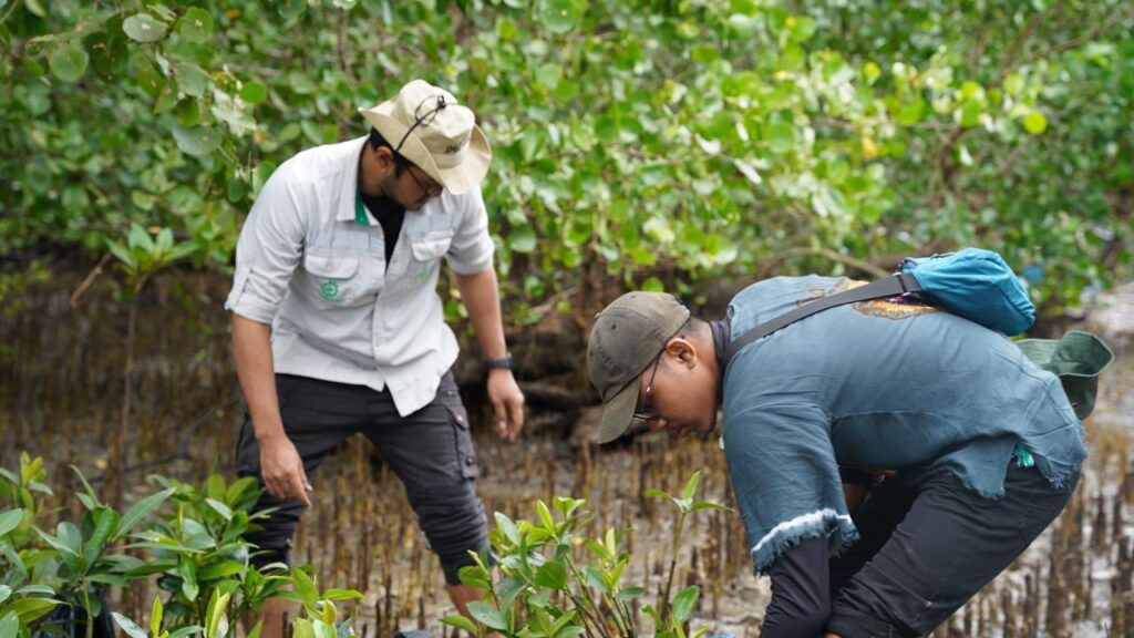 IMIP tanam 3.000 mangrove