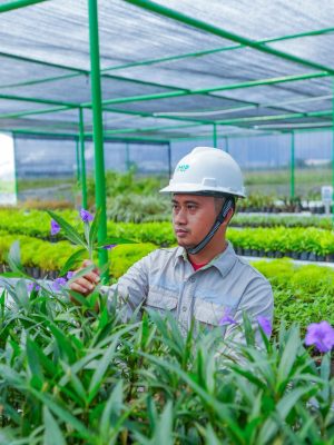 Area Nursery PT IMIP